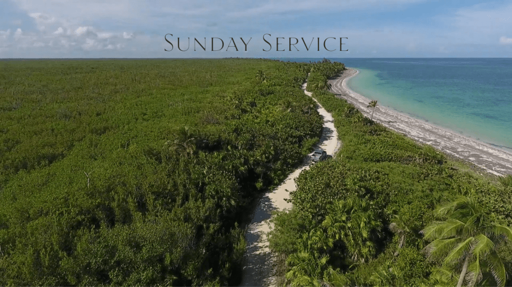 Learn how to successful